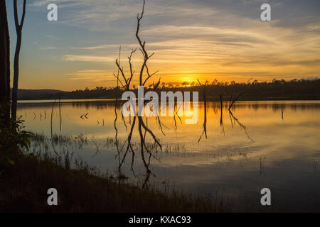 Colorato sunrise / Tramonto su acque calme del vasto lago e foresta alla pittoresca diga Paradise, vicino a Bundaberg, Queensland, Australia Foto Stock