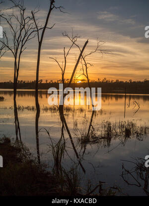 Colorato sunrise / Tramonto su acque calme del vasto lago e foresta alla pittoresca diga Paradise, vicino a Bundaberg, Queensland, Australia Foto Stock