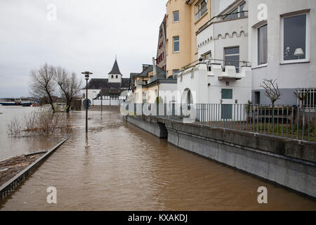 Colonia, Germania. 8 Gen, 2018. Alluvione del fiume Reno, nel quartiere di Rodenkirchen. Credito: Joern Sackermann/Alamy Live News Foto Stock