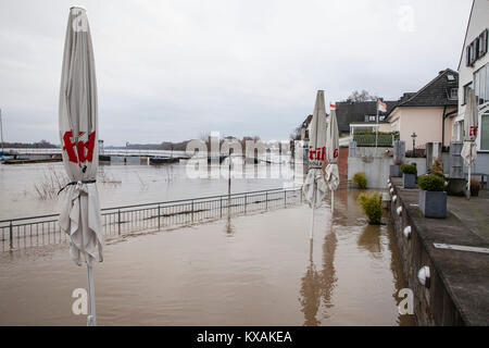 Colonia, Germania. 8 Gen, 2018. Alluvione del fiume Reno, nel quartiere di Rodenkirchen. Credito: Joern Sackermann/Alamy Live News Foto Stock