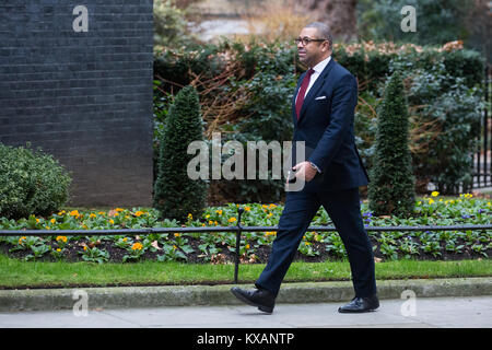 Londra, Regno Unito. 8 gennaio, 2018. James sapientemente MP arriva al di fuori 10 Downing Street sulla mattina di un rimpasto di governo del Primo Ministro Theresa Maggio. Più successivamente è stato annunciato come il nuovo Partito Conservatore Vice Presidente. Credito: Mark Kerrison/Alamy Live News Foto Stock