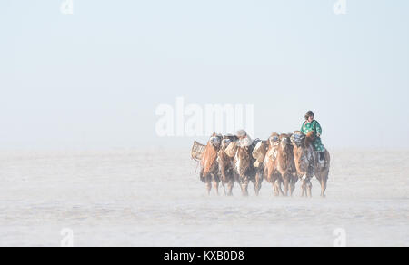 Sunite Banner di destra, la Cina della Mongolia Interna Regione Autonoma. Il 9 gennaio, 2018. Un pastore conduce i cammelli sulla coperta di neve Sunite prairie nel diritto Sunite Banner, a nord della Cina di Mongolia Interna Regione Autonoma, Gen 9, 2018. Un cammello equo a livello locale un festival tradizionale, comprese le corse di cammelli e camel beauty contest, è stato tenuto in un banner su Martedì. Più di 200 cammelli ha preso parte alla fiera. Credito: Lian Zhen/Xinhua/Alamy Live News Foto Stock