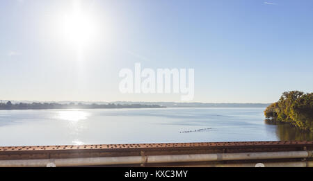 Molte le oche sul fiume Potomac panorama con sole di mattina e acqua blu a Washington DC o Virginia Foto Stock