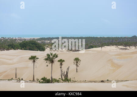 Dune di Luis Correia, Piaui, Brasile Foto Stock