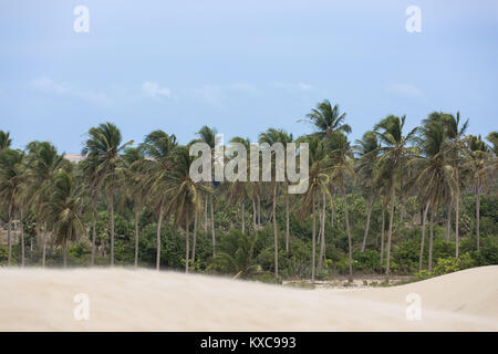 Dune di Luis Correia, Piaui, Brasile Foto Stock