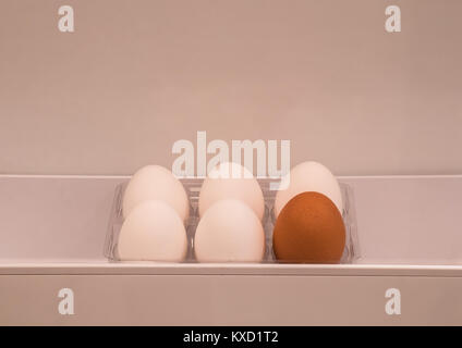 Sei uova in uno scomparto della porta del frigorifero, composto da un uovo organico marrone e cinque uova bianche non biologiche Foto Stock
