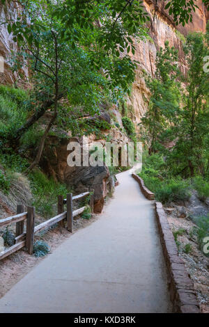 Il Riverside Walk al famigerato si restringe a nord di Zion Canyon Foto Stock