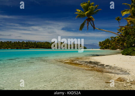 Vista panoramica della spiaggia da palme di cocco contro il cielo nuvoloso Foto Stock