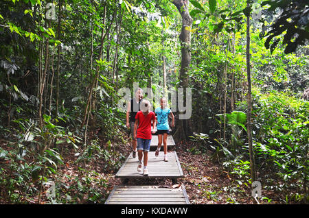 I turisti in una passeggiata attraverso la giungla di Taman Negara National Park, Malaysia Foto Stock