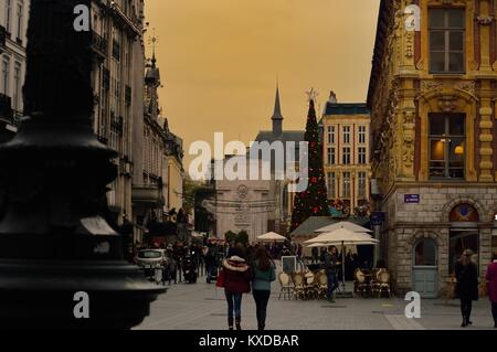 Lille Mercatino di Natale Foto Stock