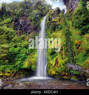 Dawson Falls cascate nel mezzo di una foresta pluviale tropicale,Dawson cade,Mount Taranaki o Mount Egmont Foto Stock