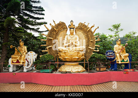 HONG KONG, CINA - 19 Marzo: Statue presso il Monastero dei Diecimila Buddha in Hong Kong in marzo, 19, 2013, Hong Kong, Cina. Si tratta di uno tra i più popolari Foto Stock