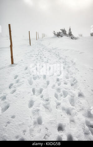 Scarpe da escursionismo impronte nella neve, Blizzard in monti Karkonosze, paesaggio invernale, Polonia. Foto Stock