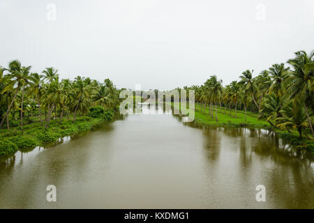 Piatto come uno specchio acque del fiume Sal foderato con palme da cocco lungo le sponde del fiume. Il Sal backwaters sono veramente una parte di un invisibile di Goa. Foto Stock