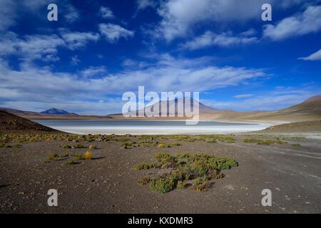 Tipico paesaggio sulla Laguna Hedionda, percorso lagunare, né Lípez provincia, dipartimento di Potosi, Bolivia Foto Stock