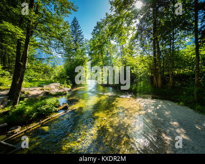Toplitzbach am Toplitzsee, Ausseer Land, Salzkammergut, Stiria, Austria Foto Stock
