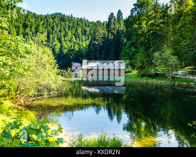 Fischerhütte am Toplitzsee, Ausseer Land, Salzkammergut, Stiria, Austria Foto Stock
