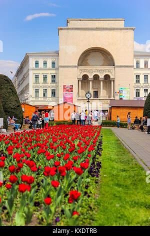 Timisoara, Romania - l'Opera House con un sacco di tulipani in Piazza della Vittoria Foto Stock