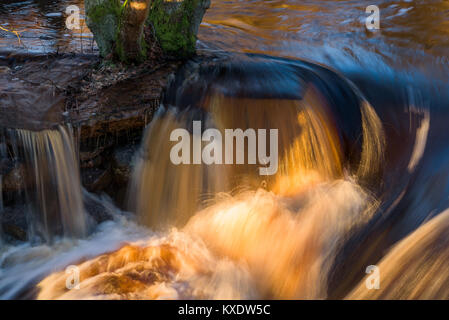 Close up di acqua di fiume che scorre su una roccia accanto a un tronco di albero, facendo piccoli rapids. Foto Stock