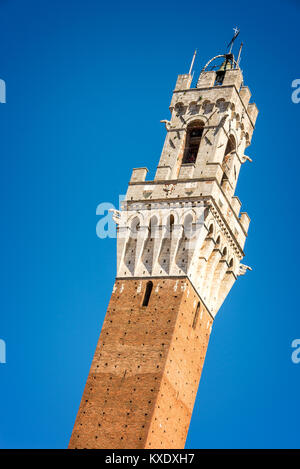 In prossimità della Torre del Mangia (Torre del Mangia) in Siena, Toscana, Italia Foto Stock