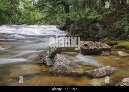 Bartlett foresta sperimentale - Albany Brook in Bartlett, New Hampshire durante i mesi primaverili. Foto Stock