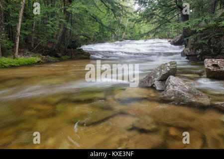 Bartlett foresta sperimentale - Albany Brook in Bartlett, New Hampshire durante i mesi primaverili. Foto Stock