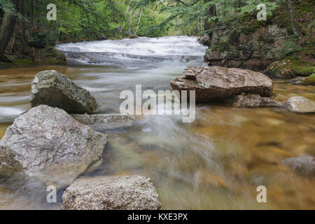 Bartlett foresta sperimentale - Albany Brook in Bartlett, New Hampshire durante i mesi primaverili. Foto Stock