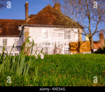 Lo Spread Eagle Hotel a Midhurst, West Sussex. Foto Stock