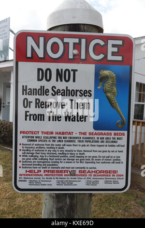 Cavalluccio marino segno di conservazione di fronte a Crystal River, Florida carta snorkel shop. Foto Stock