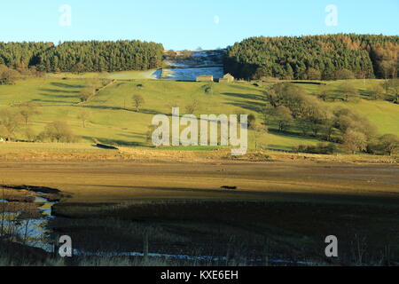 Campagna vicino Pately Bridge,North Yorkshire, Regno Unito Foto Stock