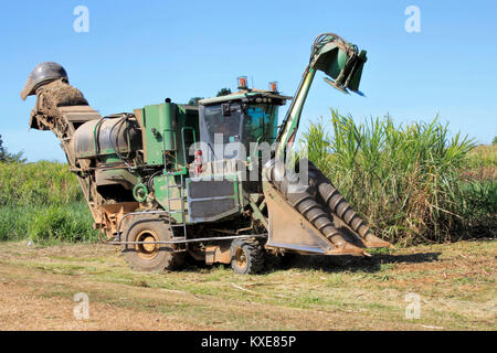 La raccolta meccanica della canna da zucchero nel Queensland del Nord Australia Foto Stock