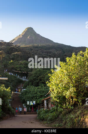 KANDY, SRI LANKA - 01 febbraio: Pera Hera festival di Kandy per celebrare il Dente del Buddha. Costituito da danze e graziosamente decorate elefanti. Tak Foto Stock