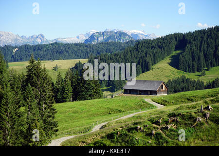 Strada anbd agriturismo nei pressi di bosco in Svizzera Foto Stock