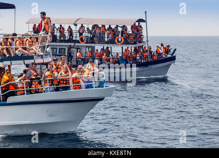 MIRISSA, SRI LANKA-Febbraio 01, 2015: persone che viaggiano in barca per vedere le balene blu. Mirissa è il luogo che ha la più grande balena blu colony in I Foto Stock