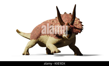 Triceratops horridus dinosauro (3D render isolato con ombra su sfondo bianco) Foto Stock