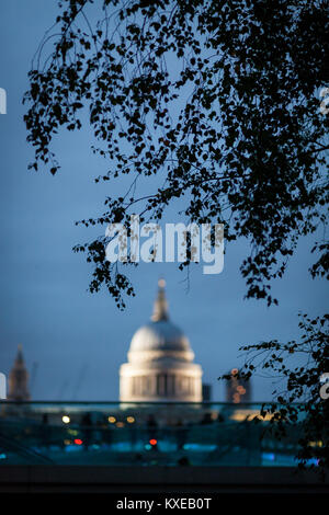 La distinta fuori fuoco cupola della cattedrale di St Paul è visto attraverso le foglie strette di un albero come tramonto cade sopra la città di Londra Foto Stock