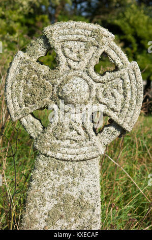 Cornish Celtic Cross, St Uny Chiesa, Lelant, Cornwall, Regno Unito - Giovanni Gollop Foto Stock