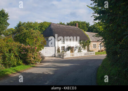 Un grazioso cottage con il tetto di paglia, Gunwalloe, Cornwall, Regno Unito - Giovanni Gollop Foto Stock