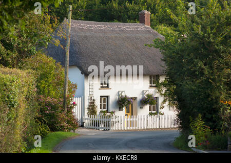 Un grazioso cottage con il tetto di paglia, Gunwalloe, Cornwall, Regno Unito - Giovanni Gollop Foto Stock