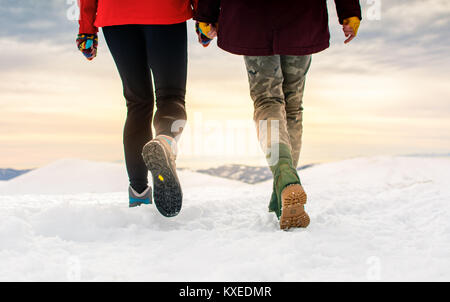 Amici escursionismo sulla cima coperta di neve a basso angolo di visione Foto Stock