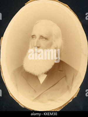 Alfred Stillé (1813-1900) Foto Stock