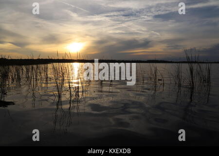 Tramonto sul lago Tarpon in Palm Harbor, FL. Foto Stock