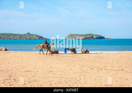 ESSAOUIRA, Marocco - 13 dicembre: l uomo a cavallo e cammelli che giace sulla spiaggia di sabbia di mare in spiaggia Essaouira. Dicembre 2016 Foto Stock