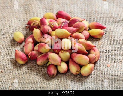 Pistacchi freschi nel guscio su una tela ruvida Foto Stock