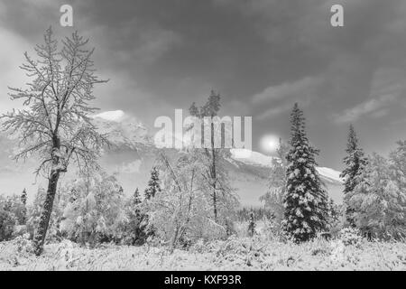 L'impostazione luna oltre il Chugach Mountains e Chugach State Park in Alaska centromeridionale. Foto Stock
