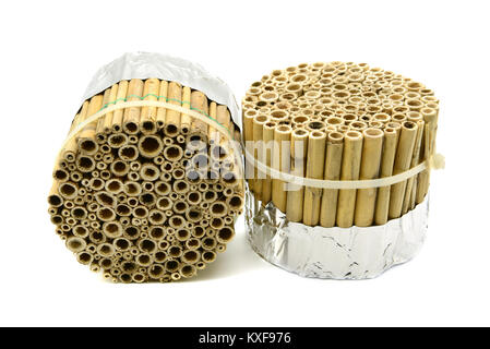 Costruzione di un insetto hotel con giunchi e canne di bambù bianco su sfondo isolato. wild bee protection Foto Stock