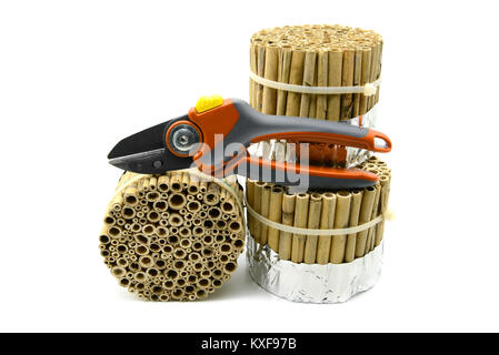 Costruzione di un insetto hotel con giunchi e canne di bambù con giardino cesoie bianco su sfondo isolato. wild bee protection Foto Stock