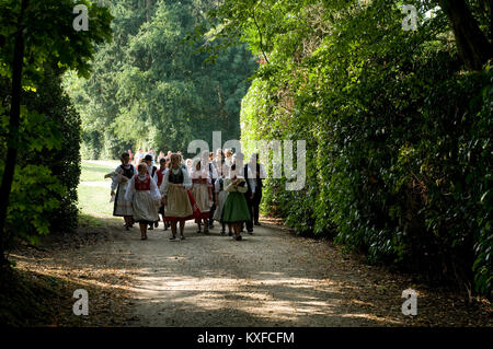 Truppa di folk ungherese ballerini Foto Stock