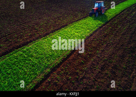 Vista aerea di trattori lavorando sul campo di raccolto Foto Stock