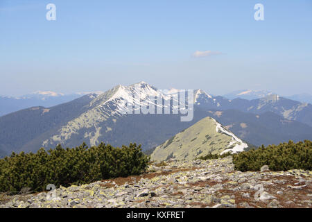 A view of Mount Syniak in the Ukrainian Carpathians, showing the rugged mountain landscape, forested slopes, and alpine terrain typical of the region. Foto Stock